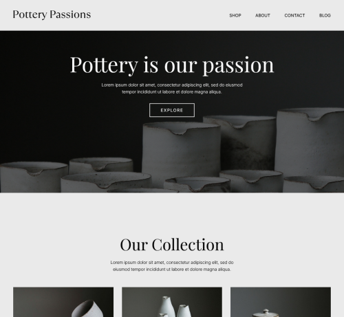 Pottery Passions