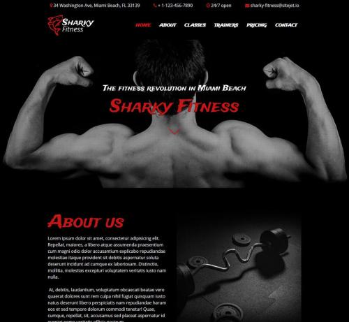 sharky-fitness